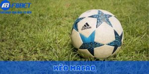 kèo macao